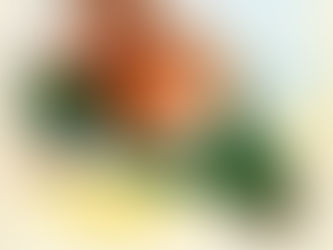 Lambrette di Bologna