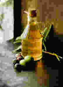 Fette und Öle