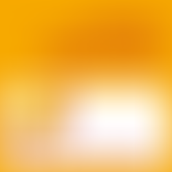 Passive House Tradesperson logo