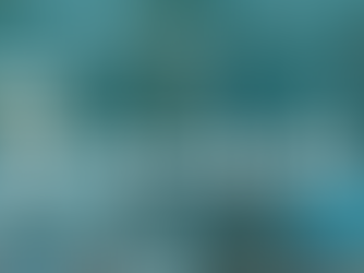 How We Joined the WISE Accelerator