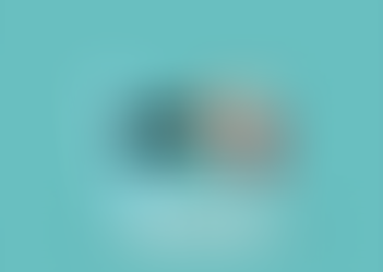 SPYWARE | The internet spy