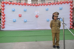 Sunny's Spring Dale School