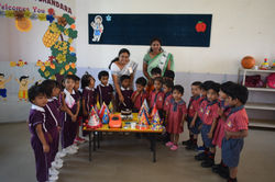 Sunny's Spring Dale School