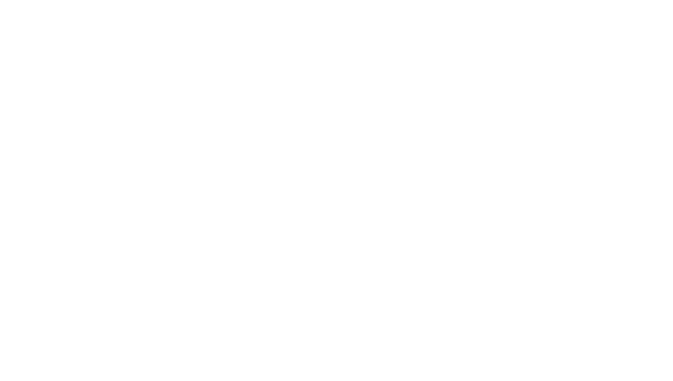 WHITE-LINES-BACKGROUND-1.png