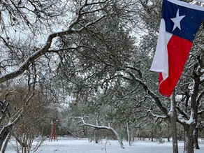 Insurance Blog for Texans to protect their house during winter weather
