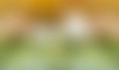 Should I bundle my Home and Auto Insurance?