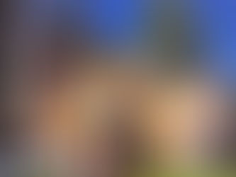 Un sogno nel cassetto.