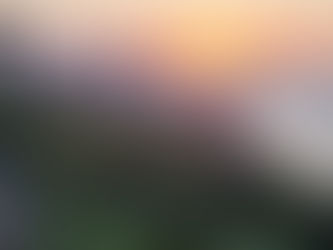 Vi condivido una ipotesi ….la realta' in cui vivamo...