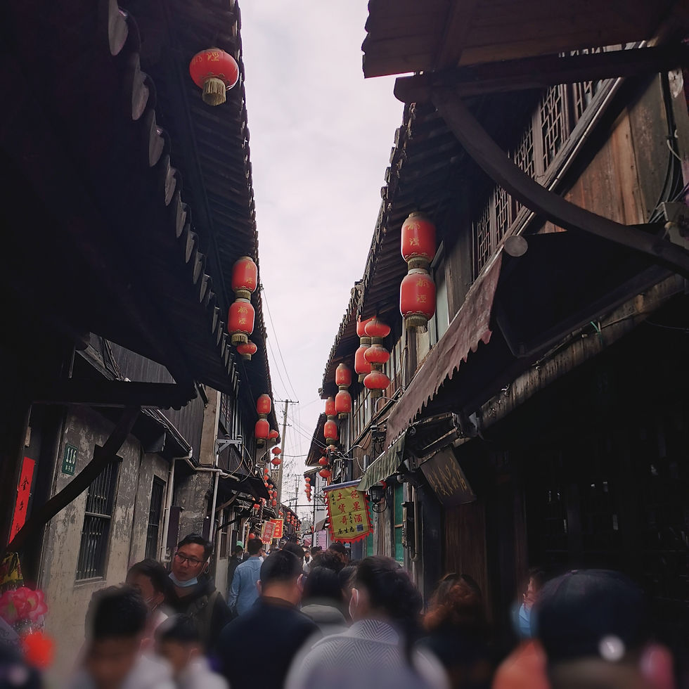 【Winter Holiday】辛丑年正月初二，在枫泾看人从众