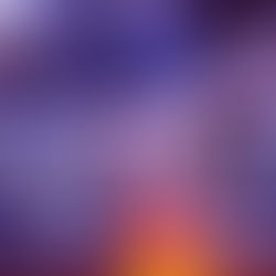 Outshining the Competition