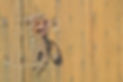 door-lock-401714_1280.jpg
