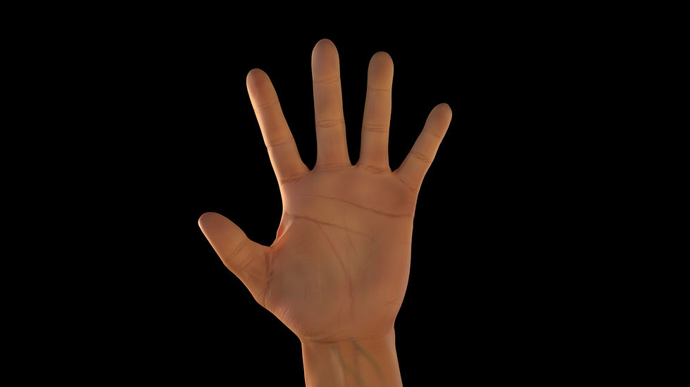 HandStudy1