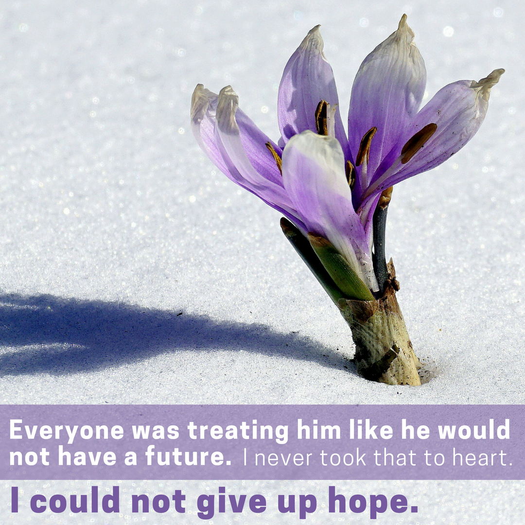 A picture of a purple flower coming up through the snow,