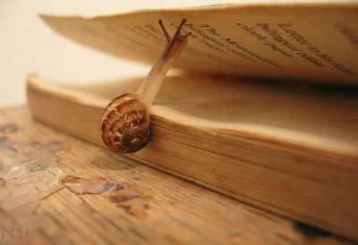Photo: