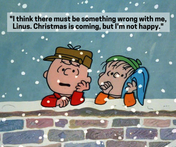 Charlie Brown talks to Linus about being sad at Christmas