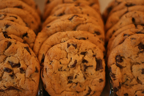 chocolate chip cookies