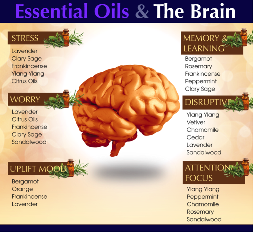 Essential Oils and the Brain