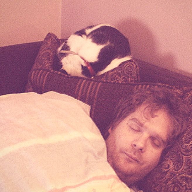 photo credit: Cat Naps via photopin (license)