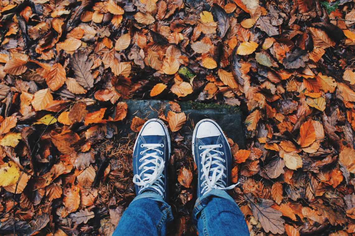 picture of person's shoes in the fall leaves