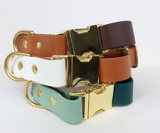 BioThane durable waterproof collar (customizable)