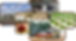 AgriQuip A.png