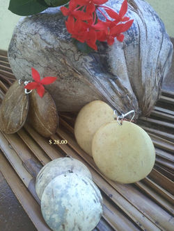 Coconut Earings $28.00