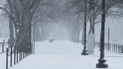 Fade_to_Black_Video_Transitions_and_Effects_Example_for_Video_Editing.gif