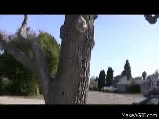WC-Td2.gif