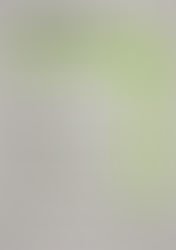 Der wöchentliche MENÜPLAN KW44