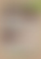 Der wöchentliche AKTIONSPLAN KW26+27