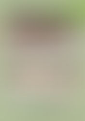 Der AKTIONSPLAN für KW 16+17