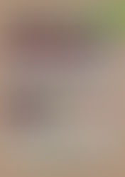 Der wöchentliche AKTIONSPLAN KW08+09