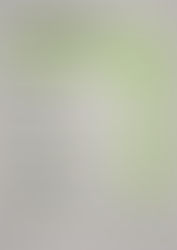 Der wöchentliche MENÜPLAN KW34