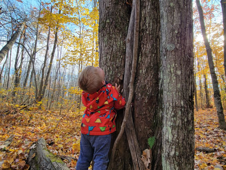 It’s Earth Day — and We’re Planting Trees! 🌱🌍
