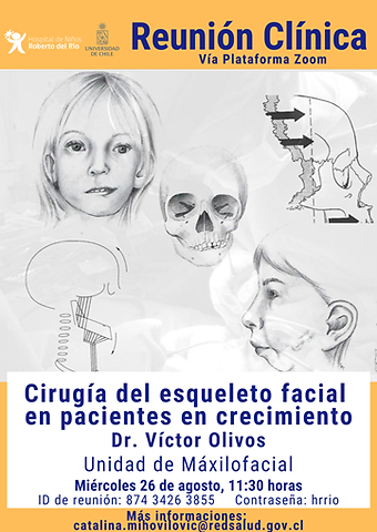 afiche web.png