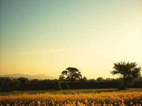 Judgement & Why it is harmful