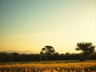 Judgement & Why it is harmful