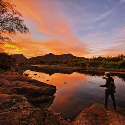Salt River, Arizona