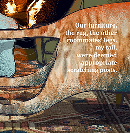 21.png