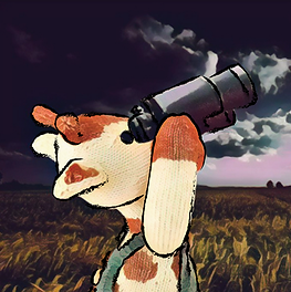 20.png
