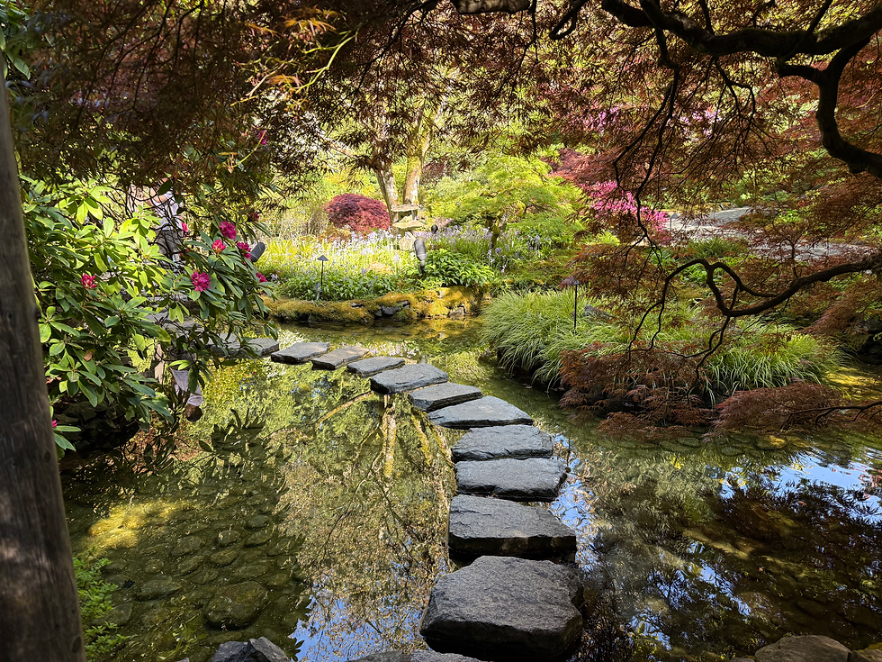 Hier sieht man eine kleine Idylle japanischer Art