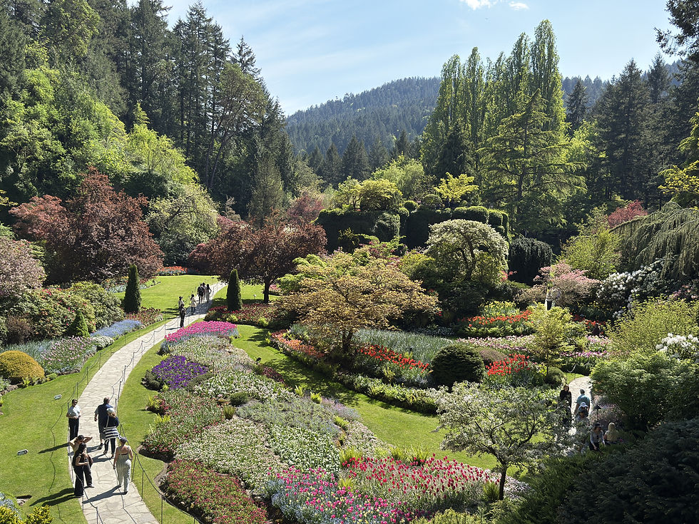 'The Butchart Garden': Ein Paradis für den kultivierten Garten-Kritiker.