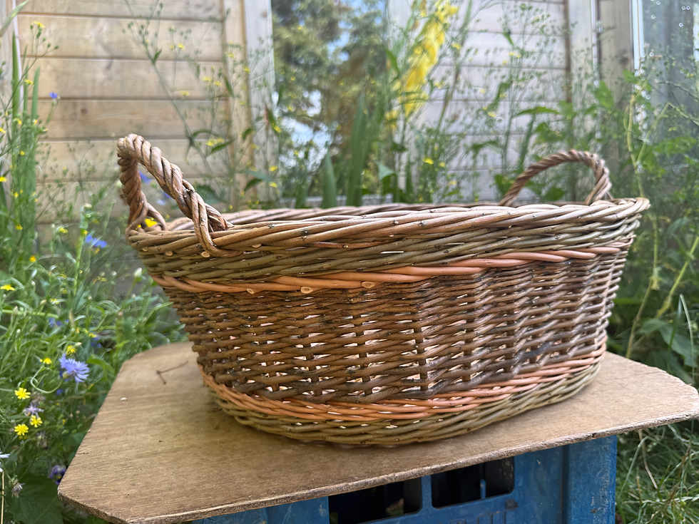 Thumbnail: The Household Basket