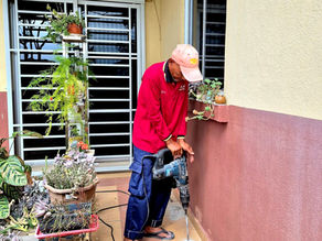 Pest Control Nilai - Termite Treatment