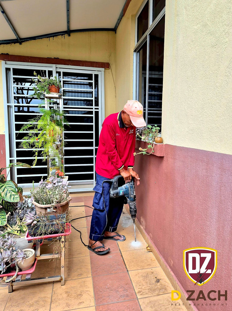 Pest Control Nilai - Termite Treatment