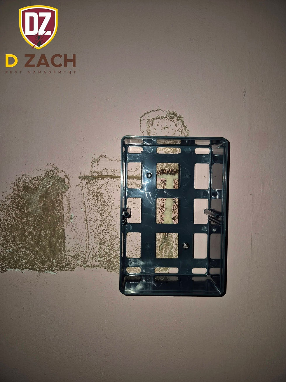 Installing termite baiting station