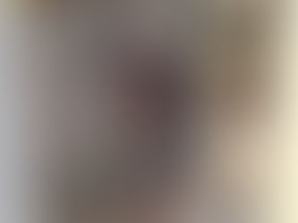 Pest Control Port Dickson - Termite Treatment