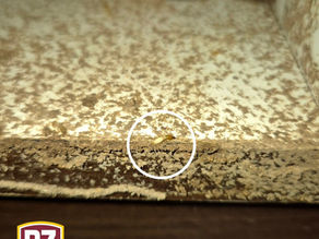 Pest Control Port Dickson - Termite Treatment