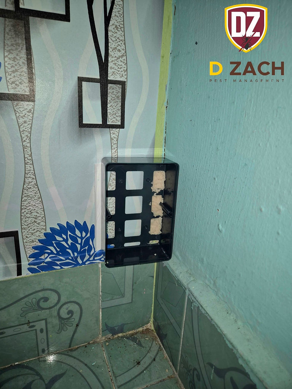 Installing Termite Station