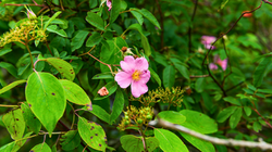 2nd Up close and personal with nature picture by Eddy Sanchez